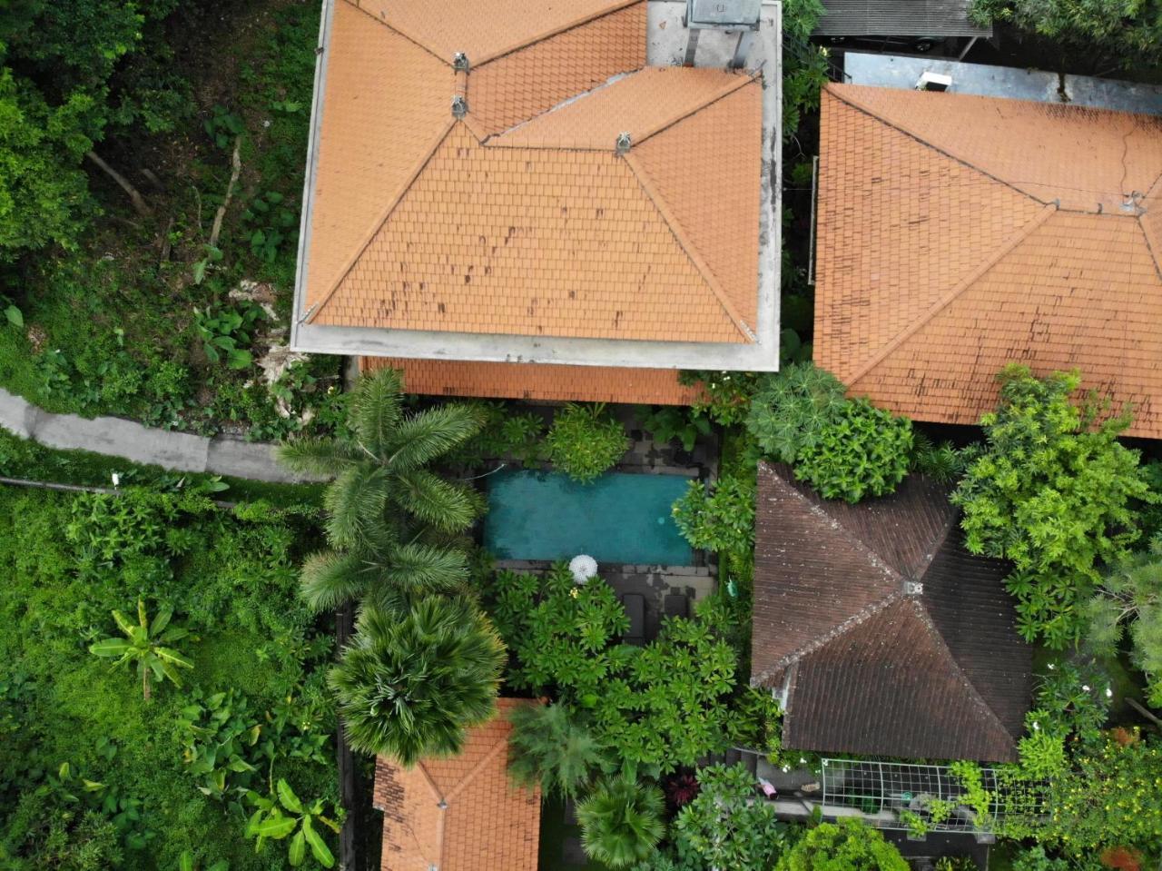 Gasthuis Jiwa's House Ubud