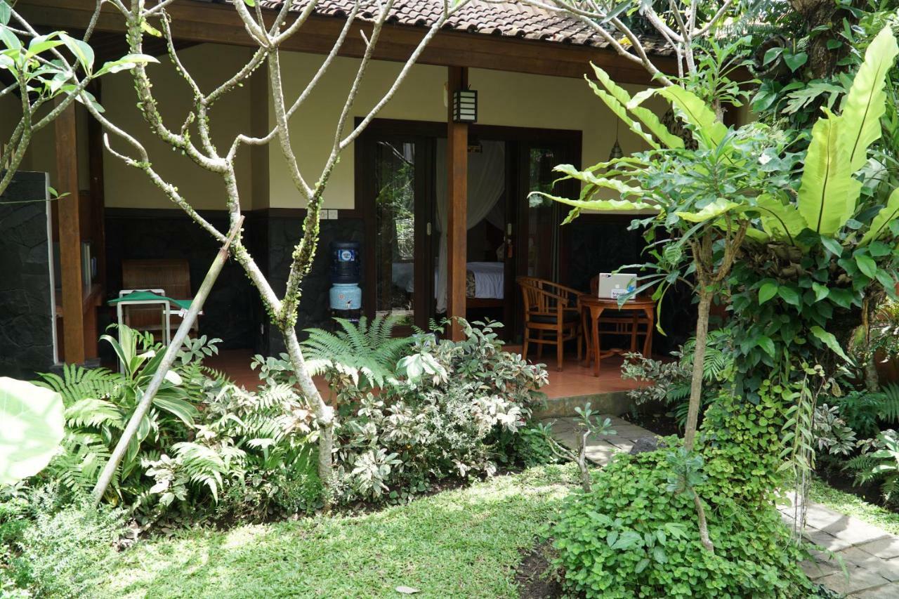 Gasthuis Jiwa's House Ubud