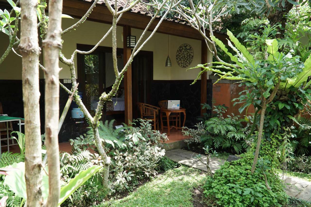 Jiwa's House